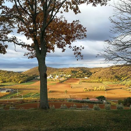 Paglia E Fieno Bed & Breakfast Villaga Dış mekan fotoğraf
