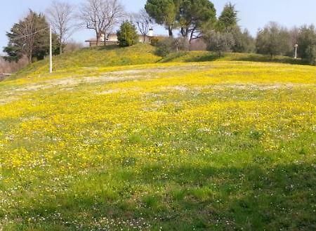Paglia E Fieno Bed & Breakfast Villaga Dış mekan fotoğraf
