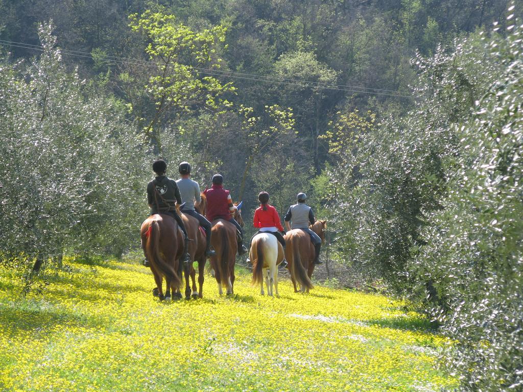 Paglia E Fieno Bed & Breakfast Villaga Dış mekan fotoğraf