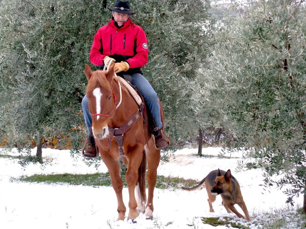 Paglia E Fieno Bed & Breakfast Villaga Dış mekan fotoğraf