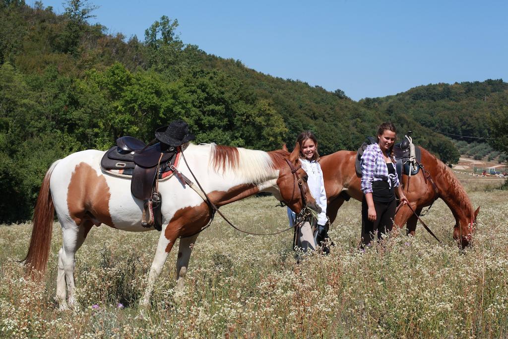 Paglia E Fieno Bed & Breakfast Villaga Dış mekan fotoğraf