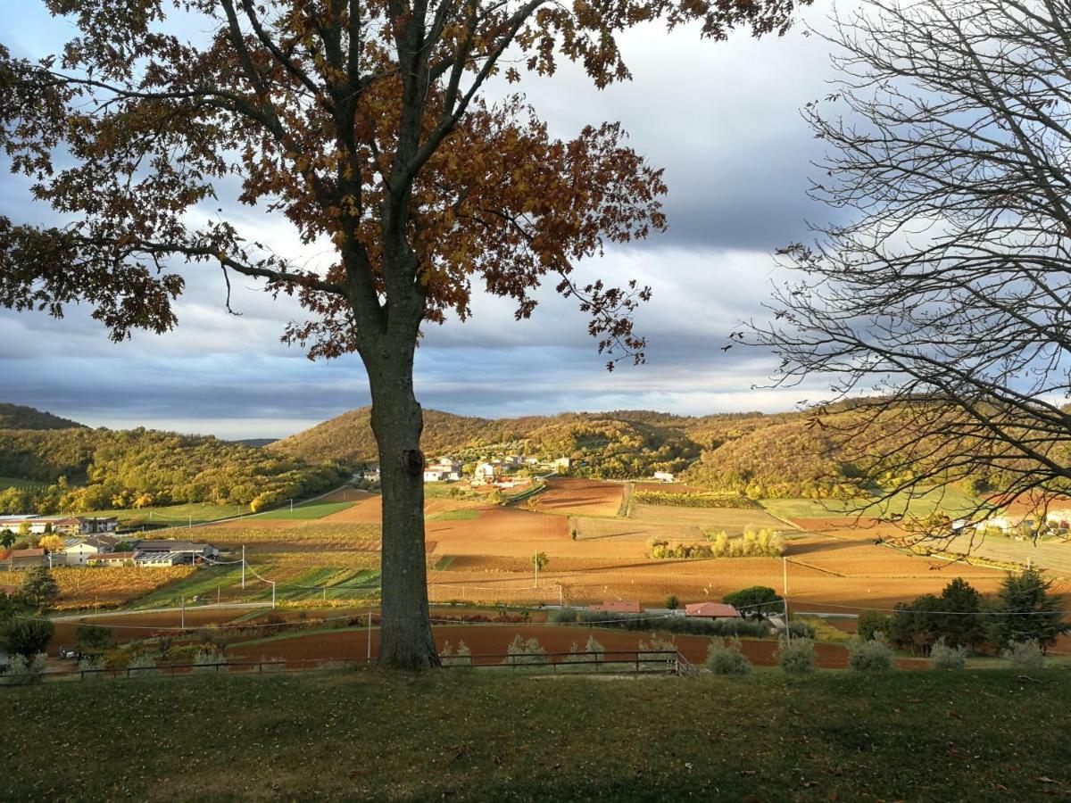 Paglia E Fieno Bed & Breakfast Villaga Dış mekan fotoğraf